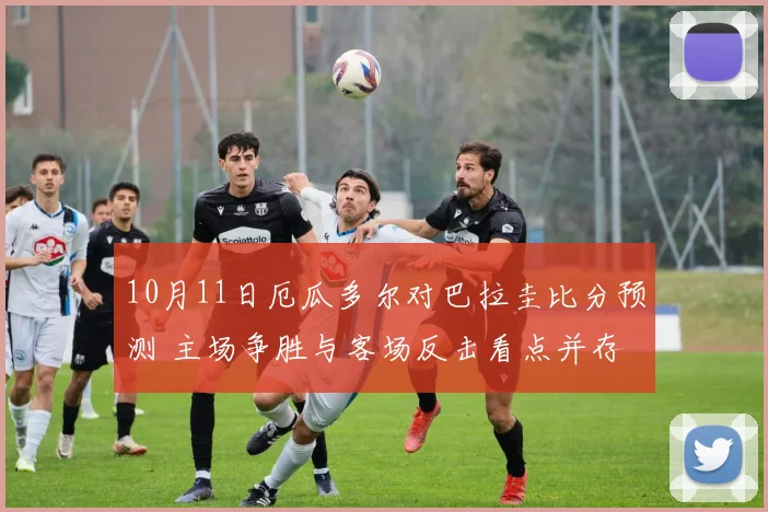 10月11日厄瓜多尔对巴拉圭比分预测 主场争胜与客场反击看点并存
