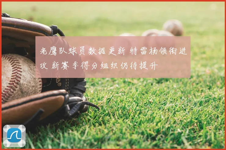 老鹰队球员数据更新 特雷杨领衔进攻 新赛季得分组织仍待提升